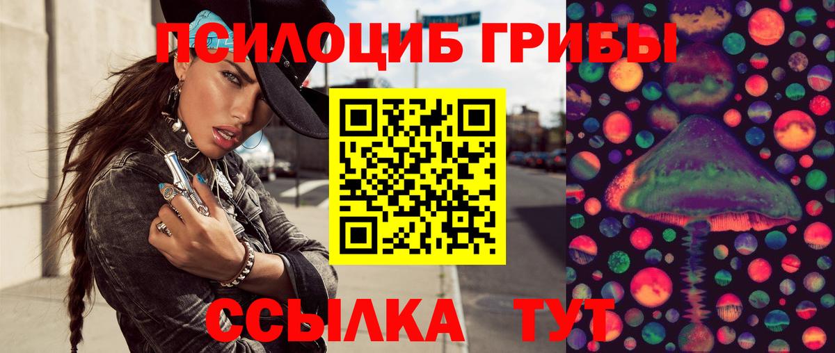 Псилоцибиновые грибы Cubensis Железногорск