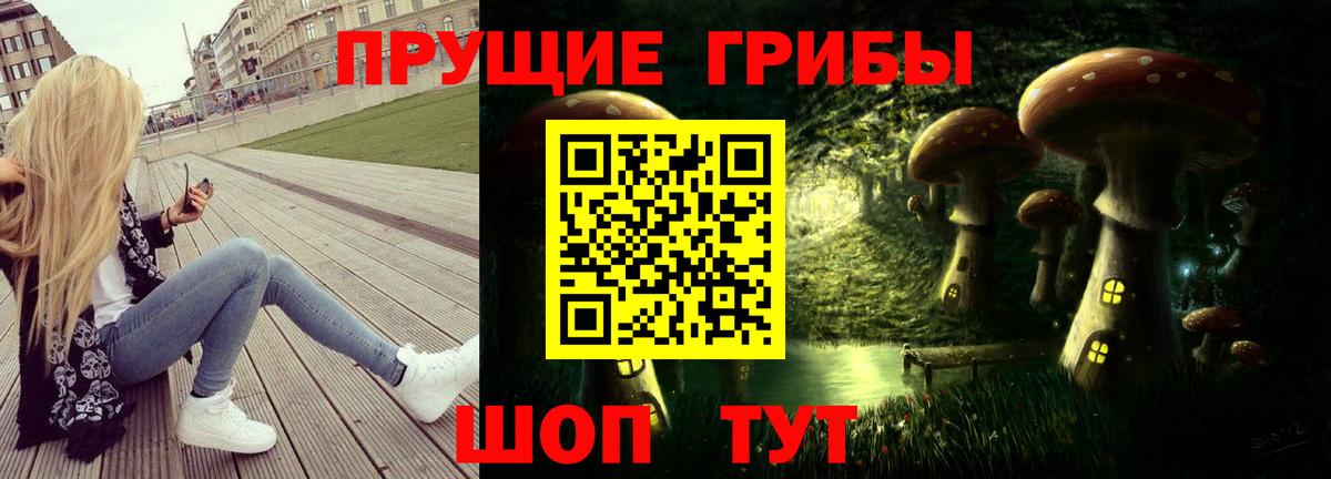 Псилоцибиновые грибы мухоморы  Псилоцибиновые грибы GOLDEN TEACHER  Железногорск  наркота  Вход с VPN 